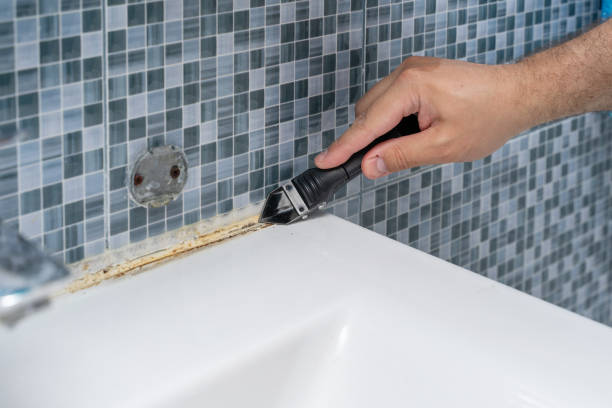 Best Toxic Mold Removal  in East Lake Orient Park, FL
